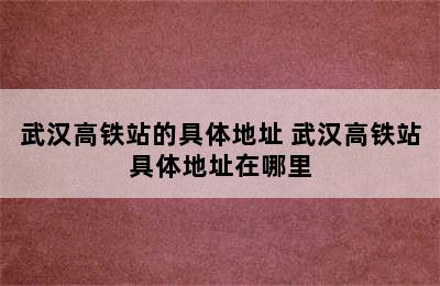 武汉高铁站的具体地址 武汉高铁站具体地址在哪里